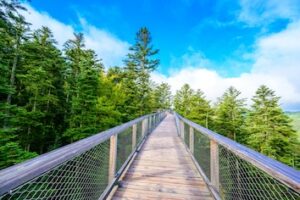 Duitsland | Baden-W&uuml;rttemberg | Zwarte Woud, hoogtes, bossen