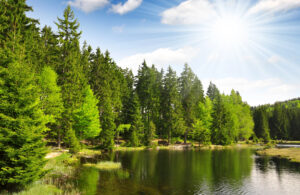 Duitsland | Beieren | Oerbos, bergen, woud